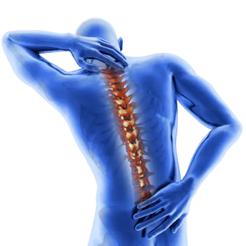 Human Spine with Back Pain