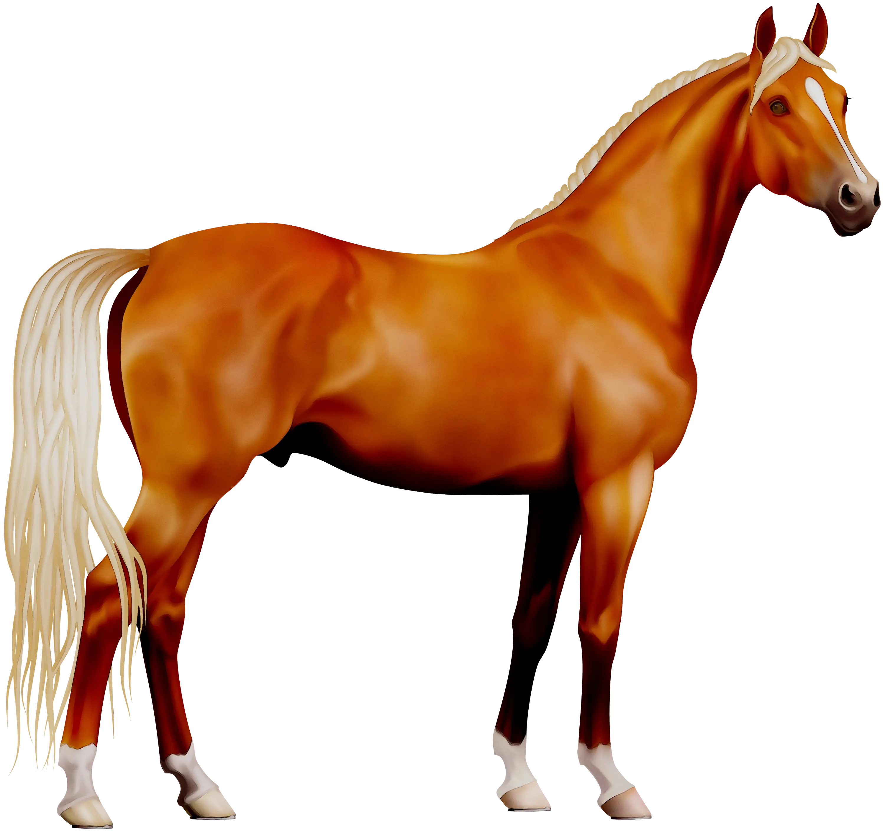 Brown Horse Standing Illustration