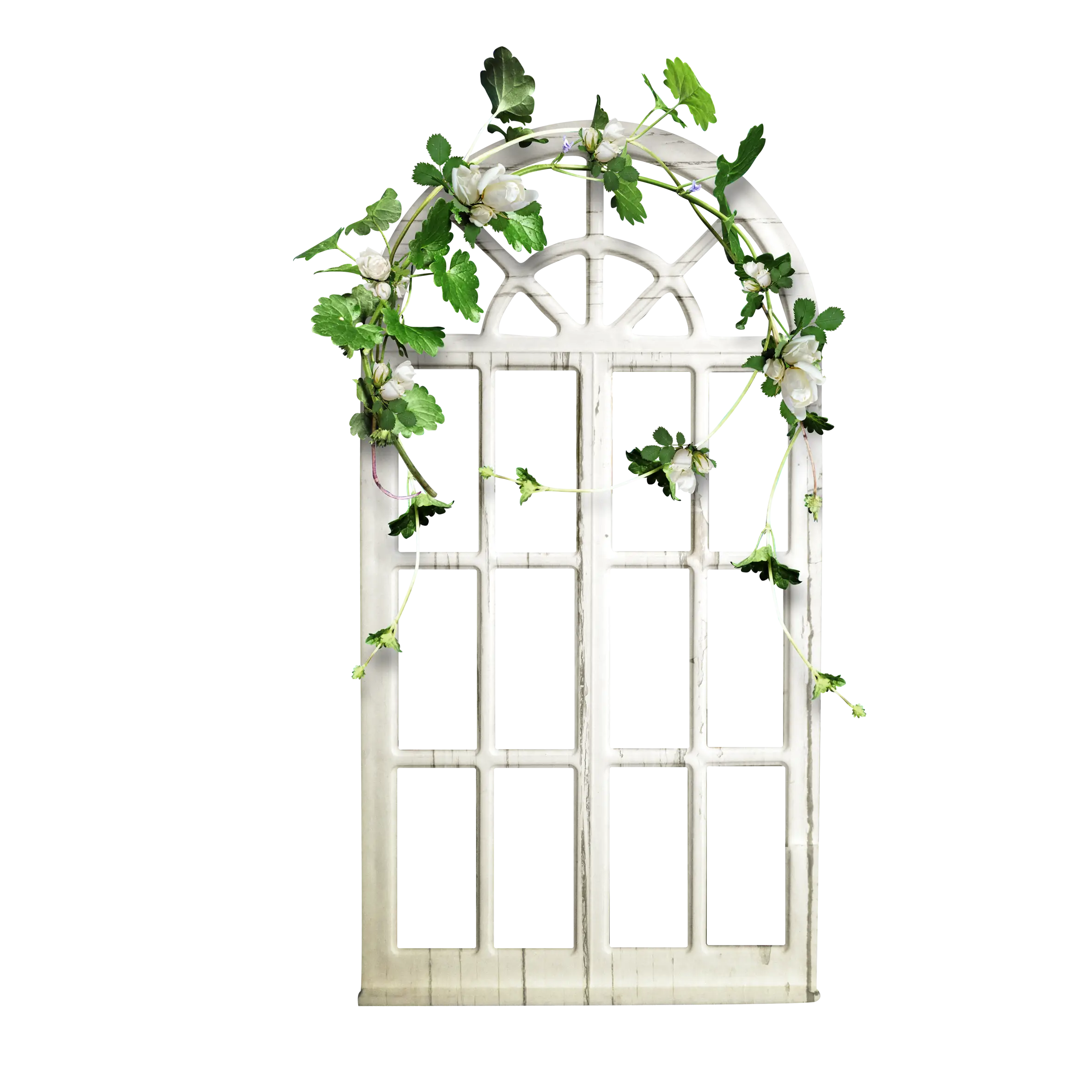 Decorative Window with Vines