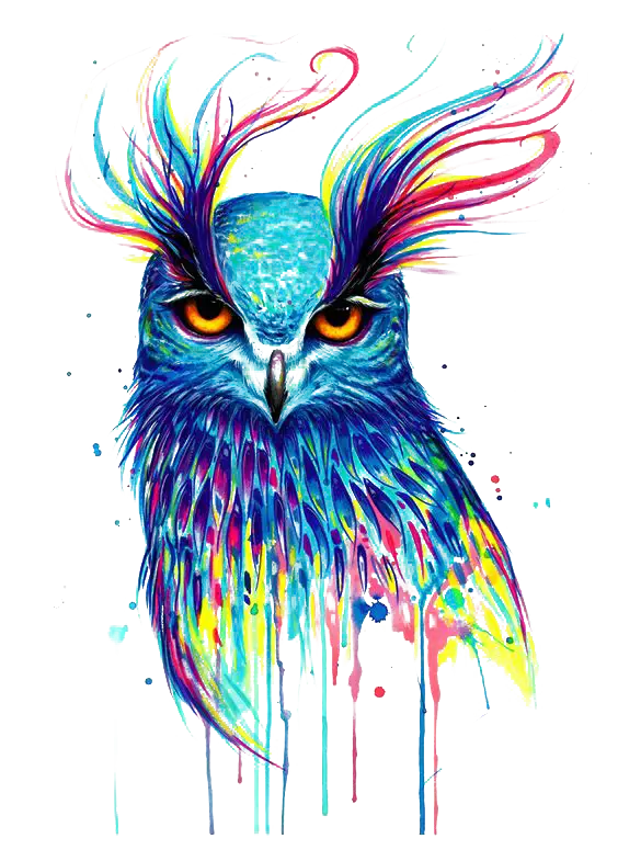 Colorful Vibrant Owl Illustration