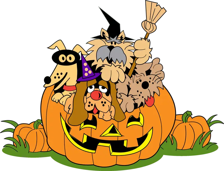 Pets in Halloween Pumpkin