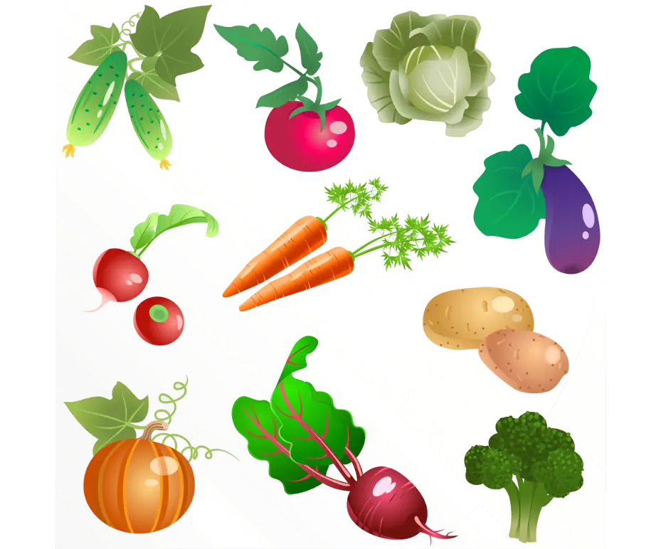 Fresh Assortment of Garden Vegetables