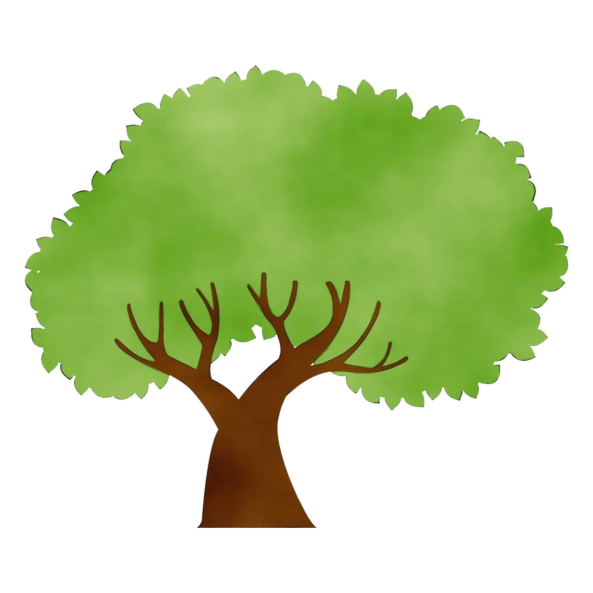 Green Tree Illustration