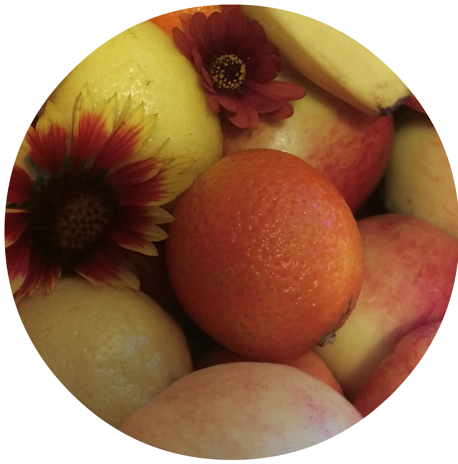Assorted Fruits with Flowers