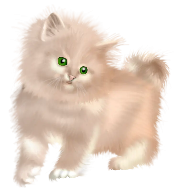 Fluffy Beige Kitten with Green Eyes