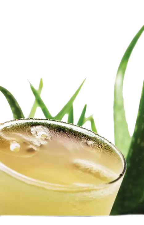 Refreshing Aloe Vera Drink