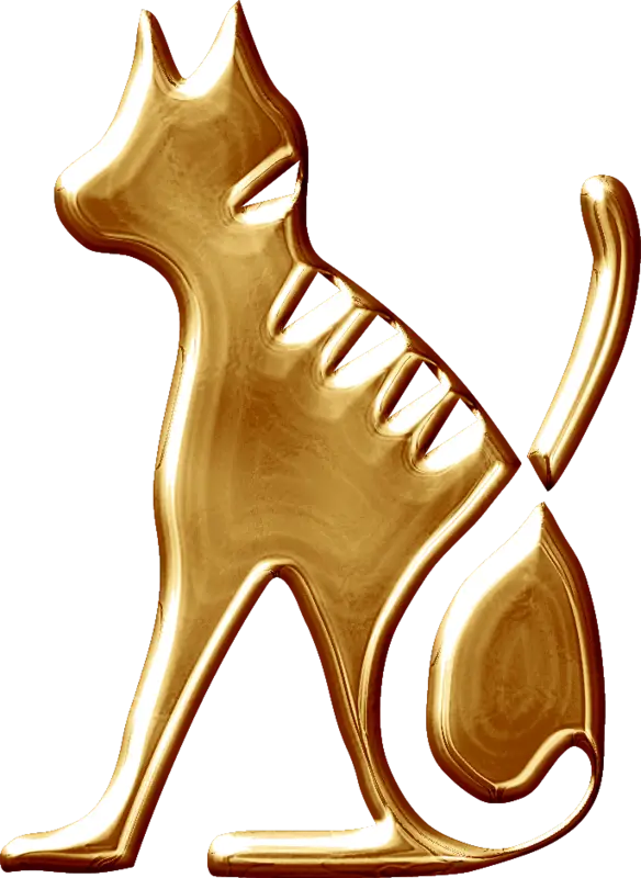 Shiny Golden Cat