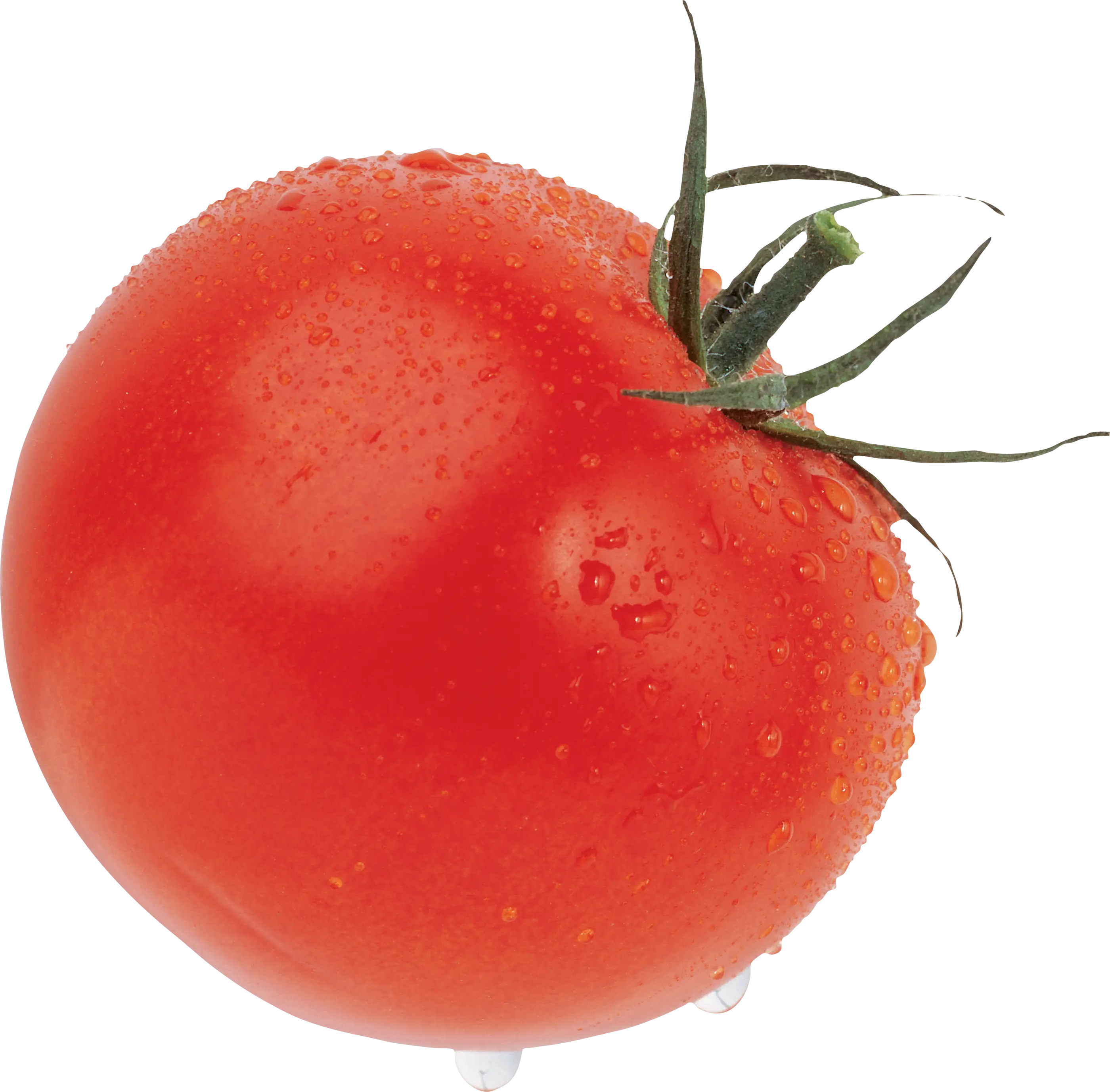 Fresh Tomato with Water Droplets