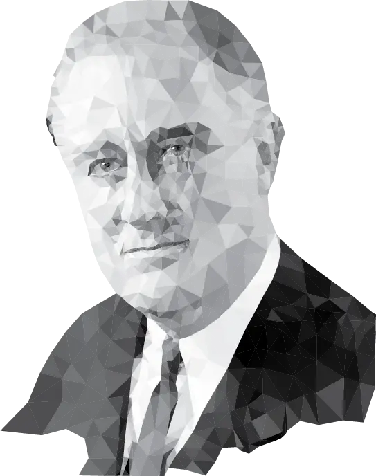 Geometric Polygonal Portrait