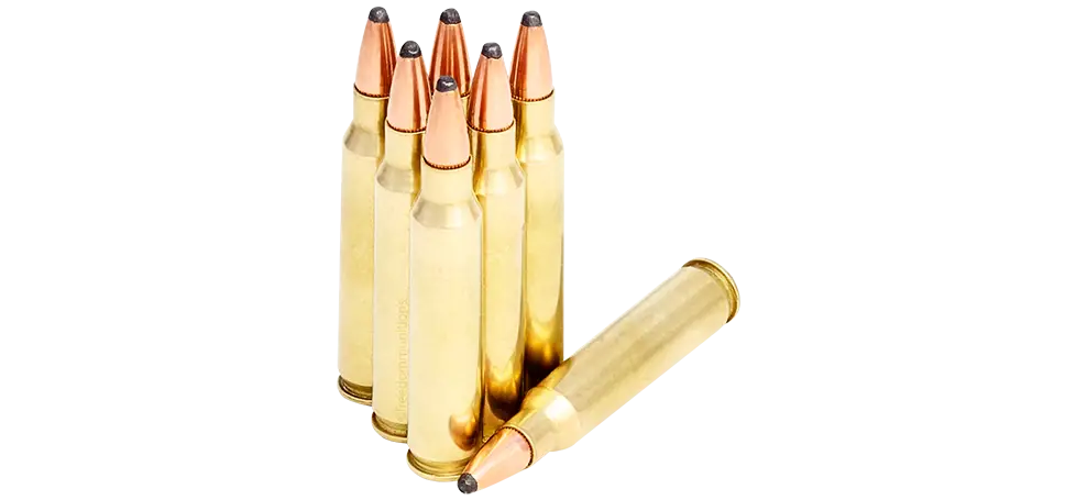Rifle Bullets for Firearms