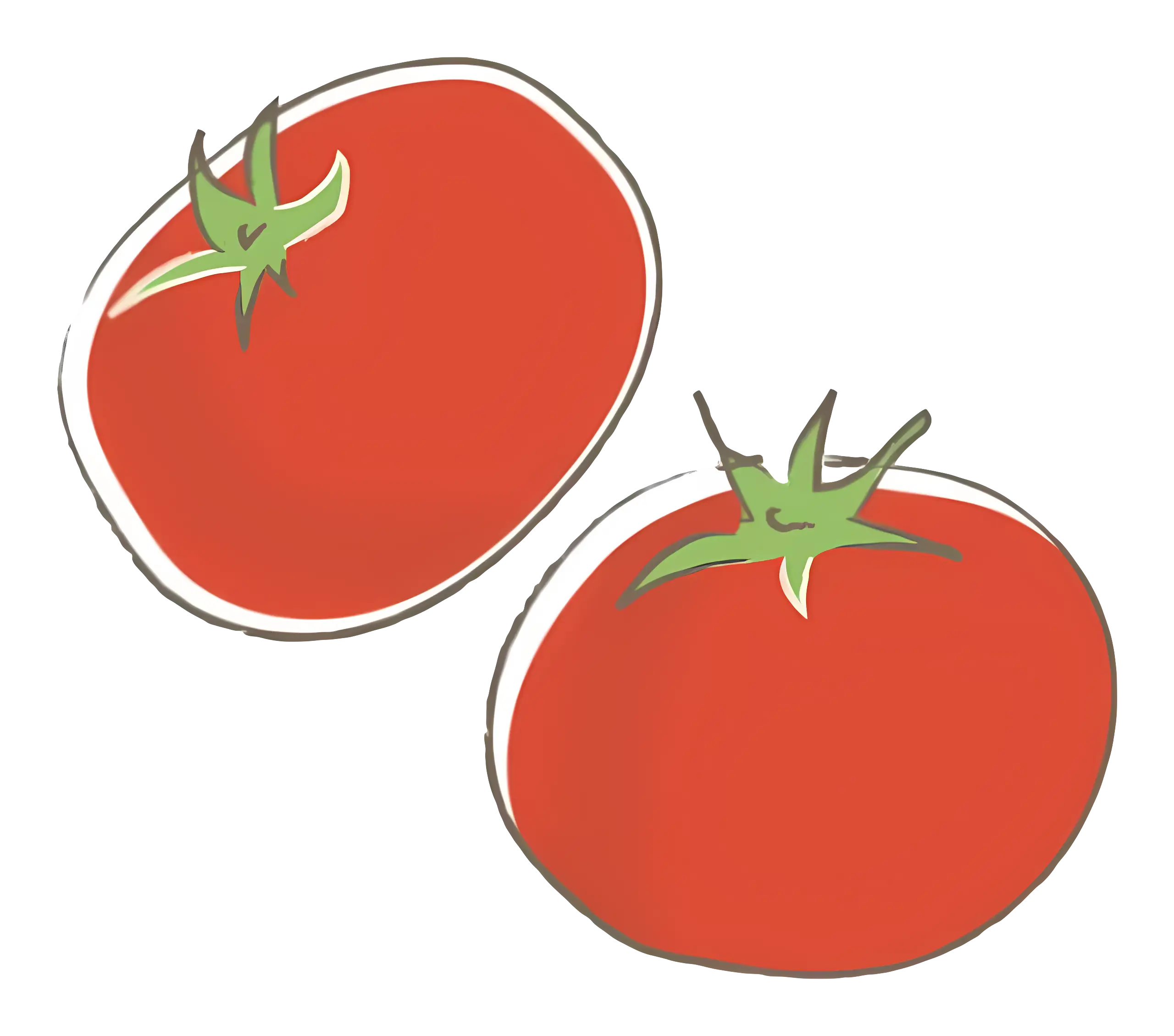 Red Tomatoes with Green Stems Illustration