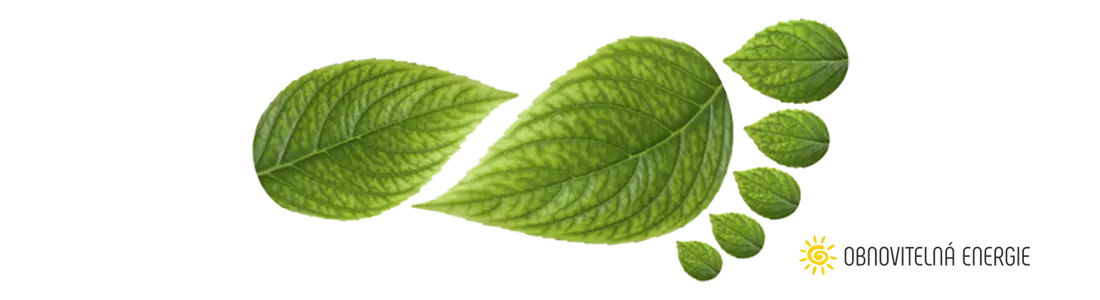 Green Footprint Symbol