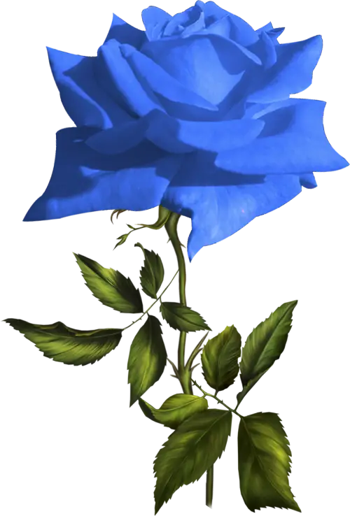 Blue Rose Illustration with Green Leaves