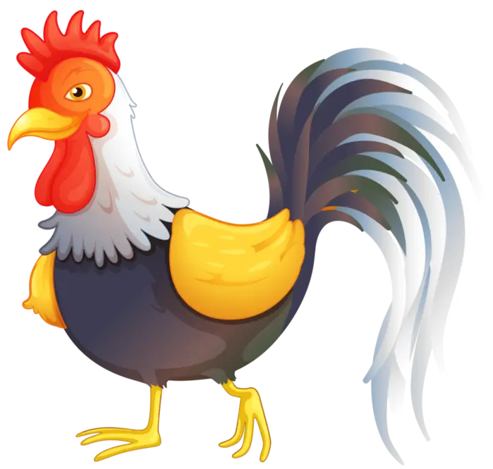 Cartoon Rooster Illustration