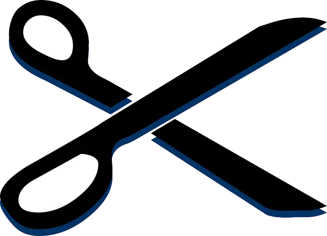 Black and Blue Scissors Icon