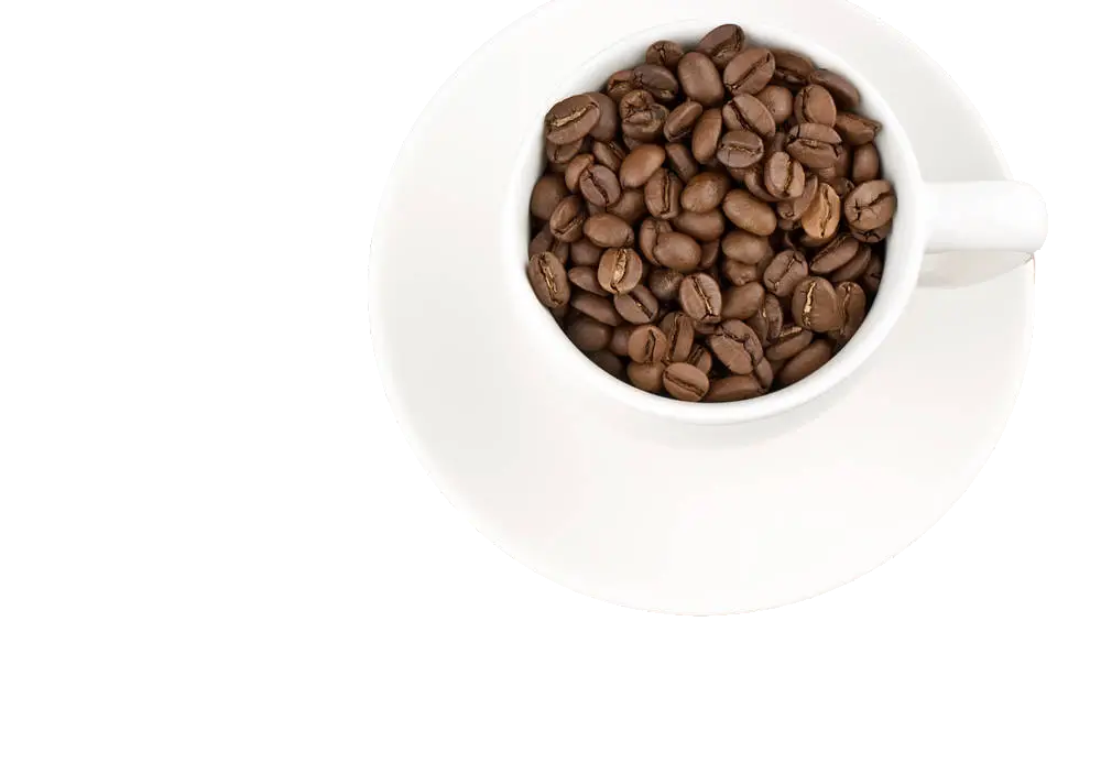Coffee Beans in a White Cup for Decoration