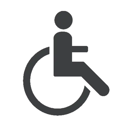 Wheelchair Accessibility Icon