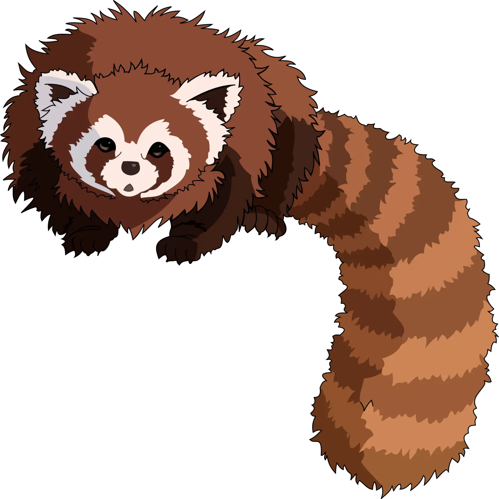 Cute Red Panda Illustration