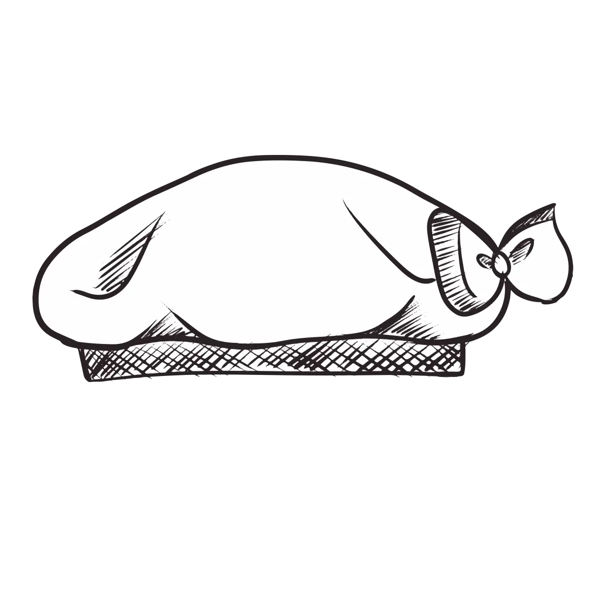 Sketch of Roasted Turkey