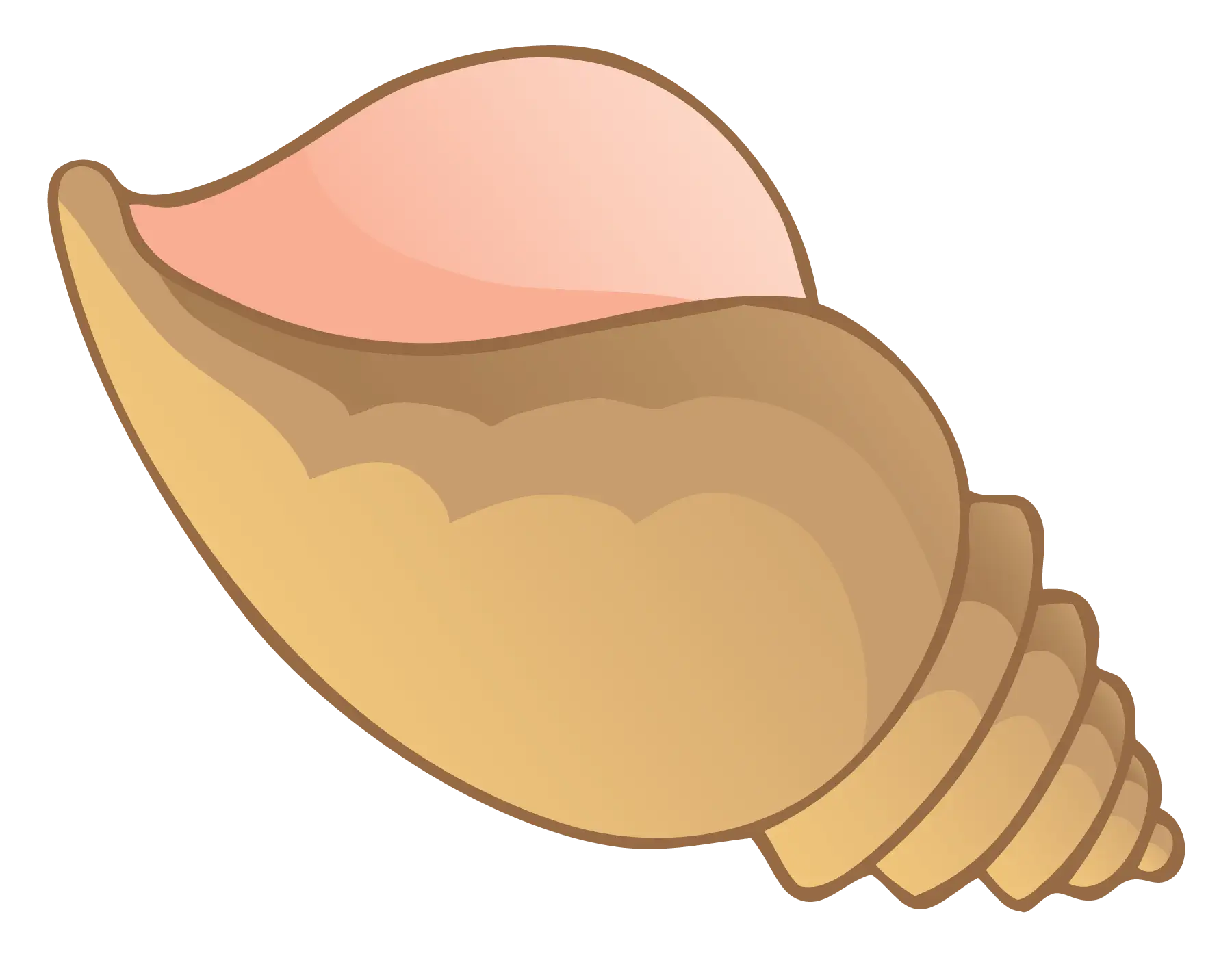 Cartoon Seashell