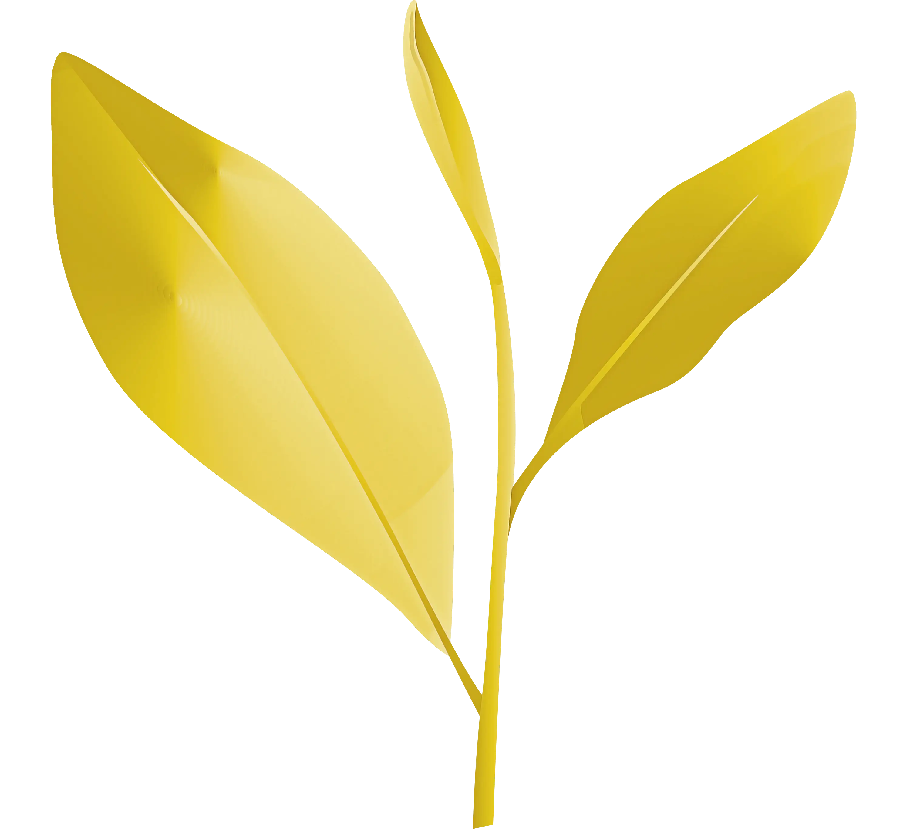 Golden-Yellow Leaf Illustration