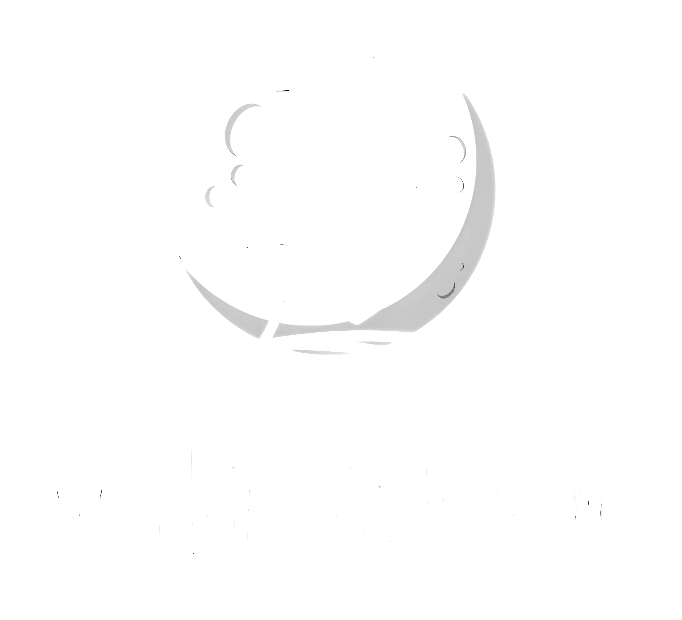 White Owl Minimalist Logo