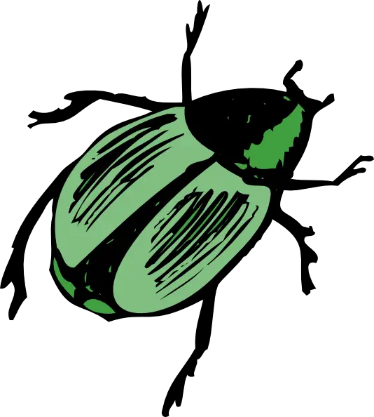 Green Beetle Illustration for Nature Art