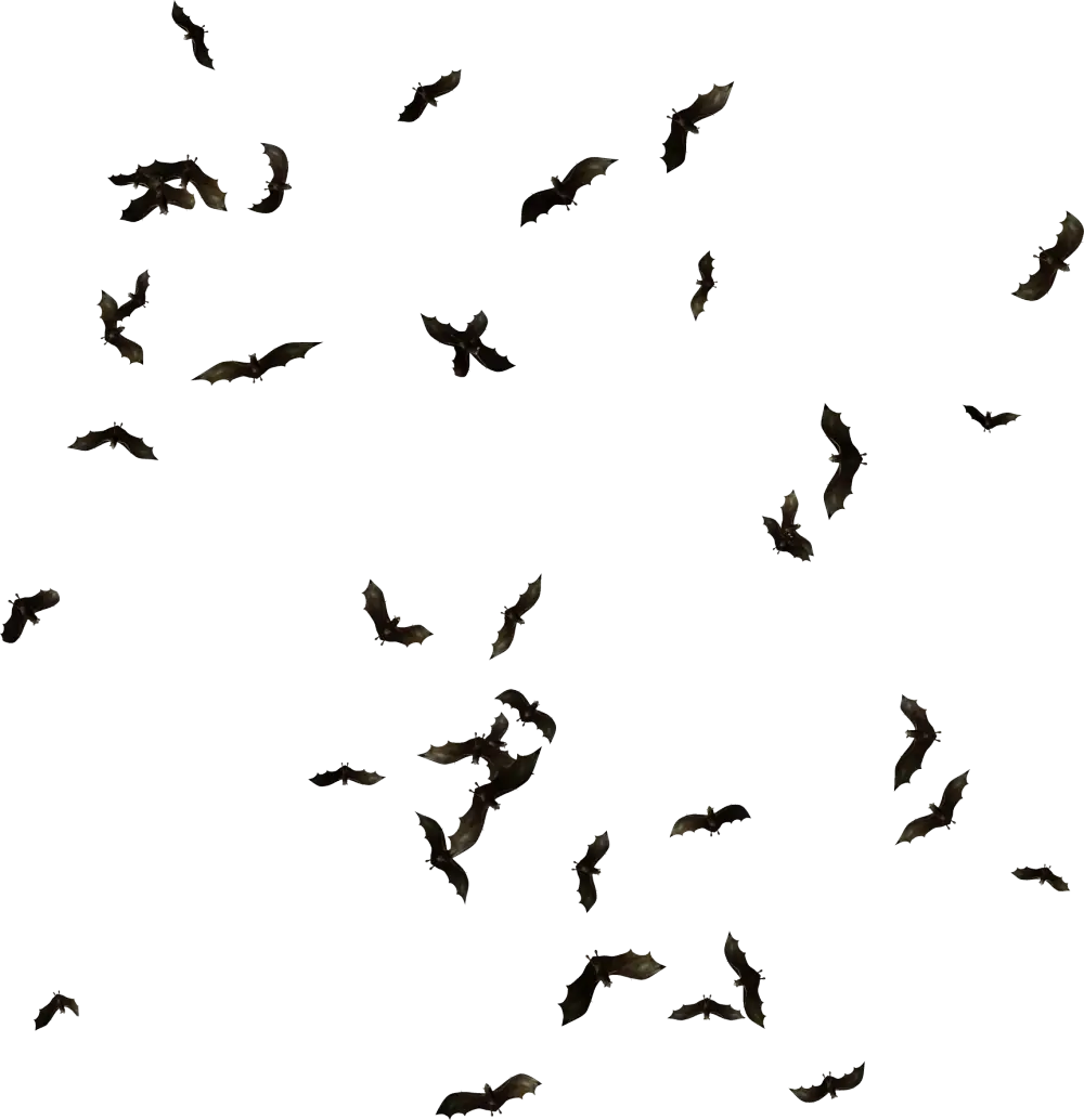 Flying Bats in the Sky