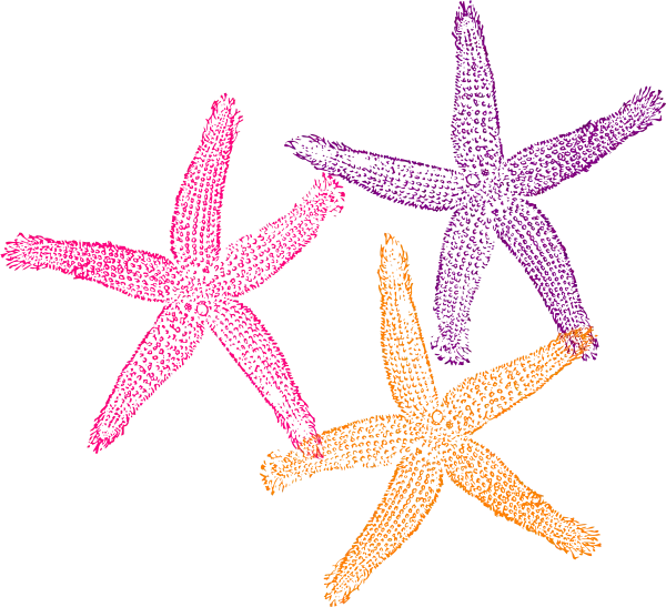 Colorful Starfish Illustration