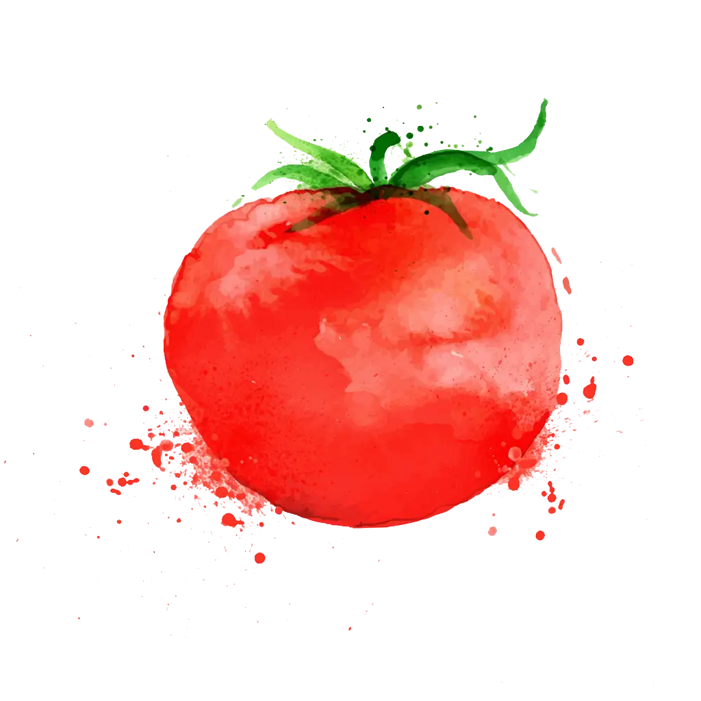 Watercolor Illustration of a Tomato