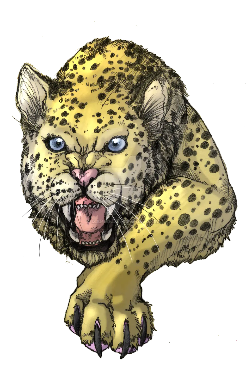 Snarling Leopard Illustration