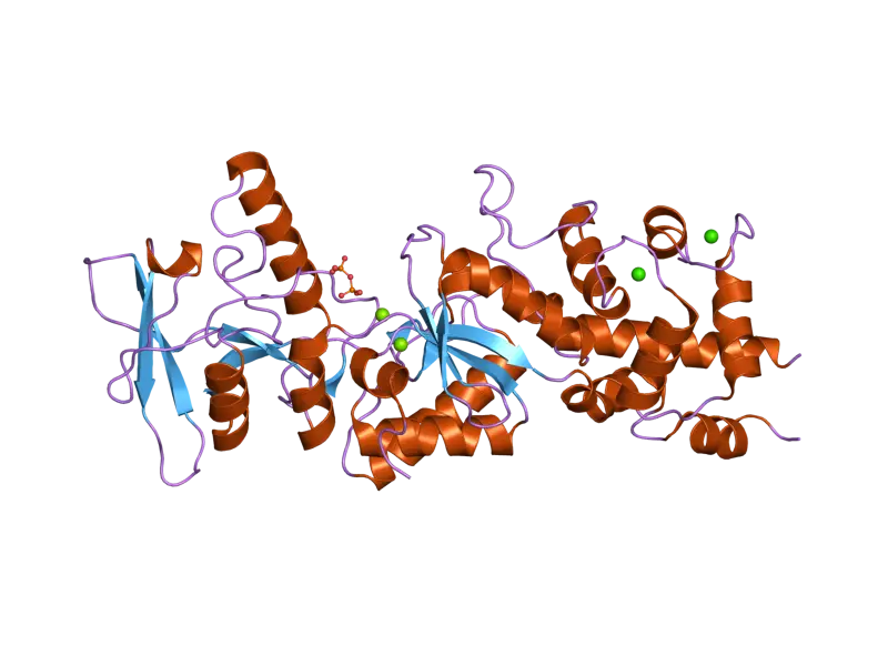 Protein Structure Diagram for Science