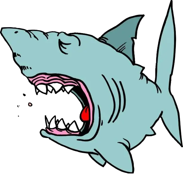 Cartoon Shark with Open Mouth