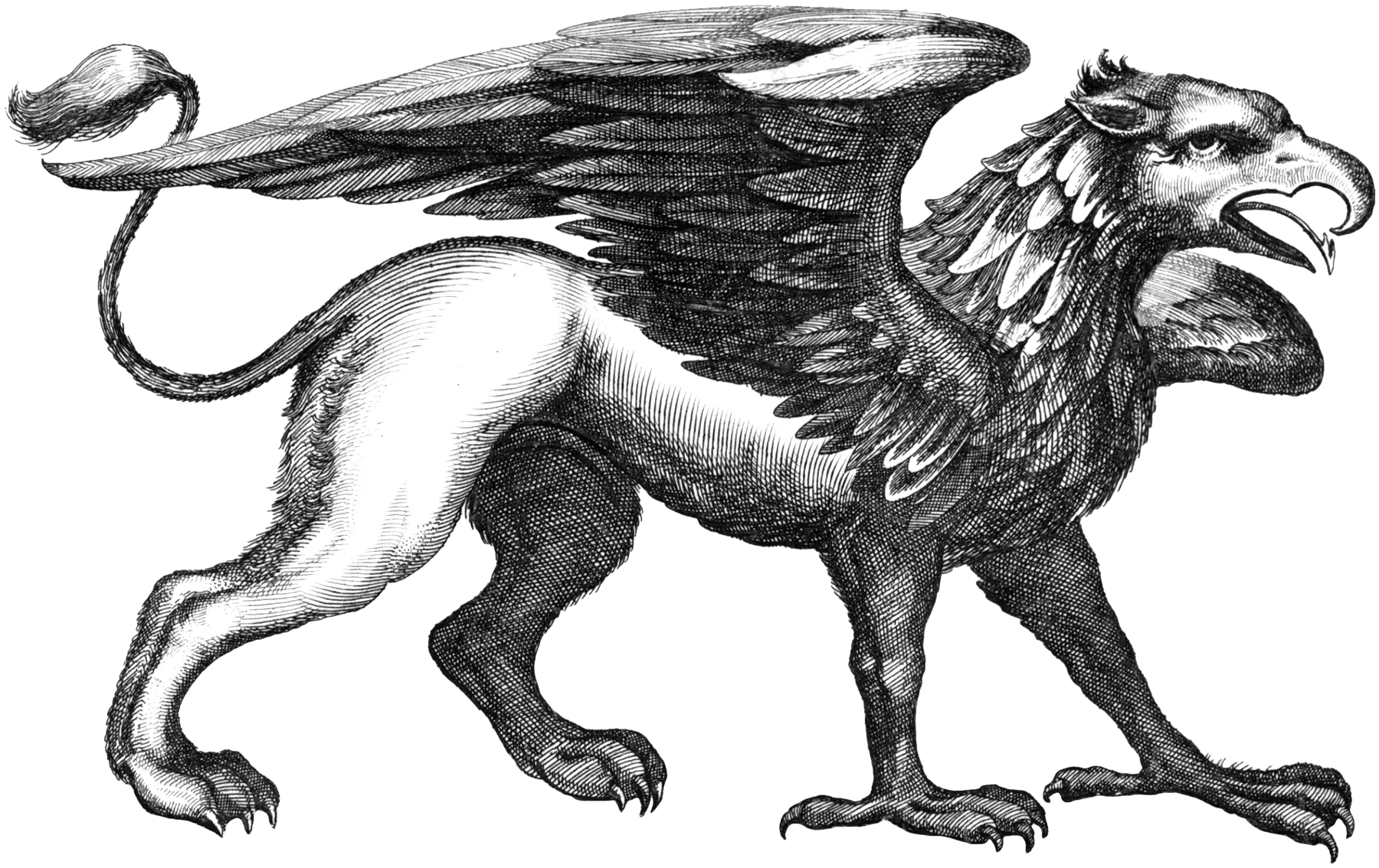 Griffin Mythical Creature