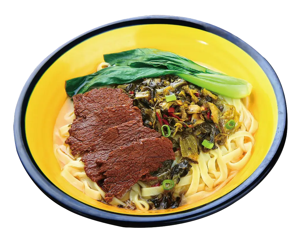 Bowl of Beef Noodles