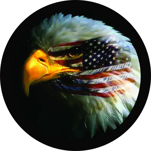 Eagle with USA Flag