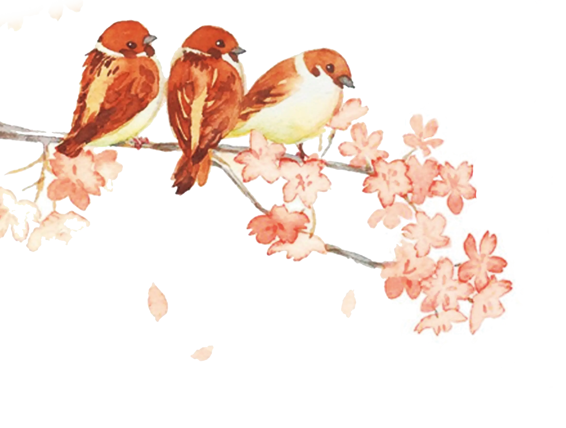 Three Birds on a Blossom Branch