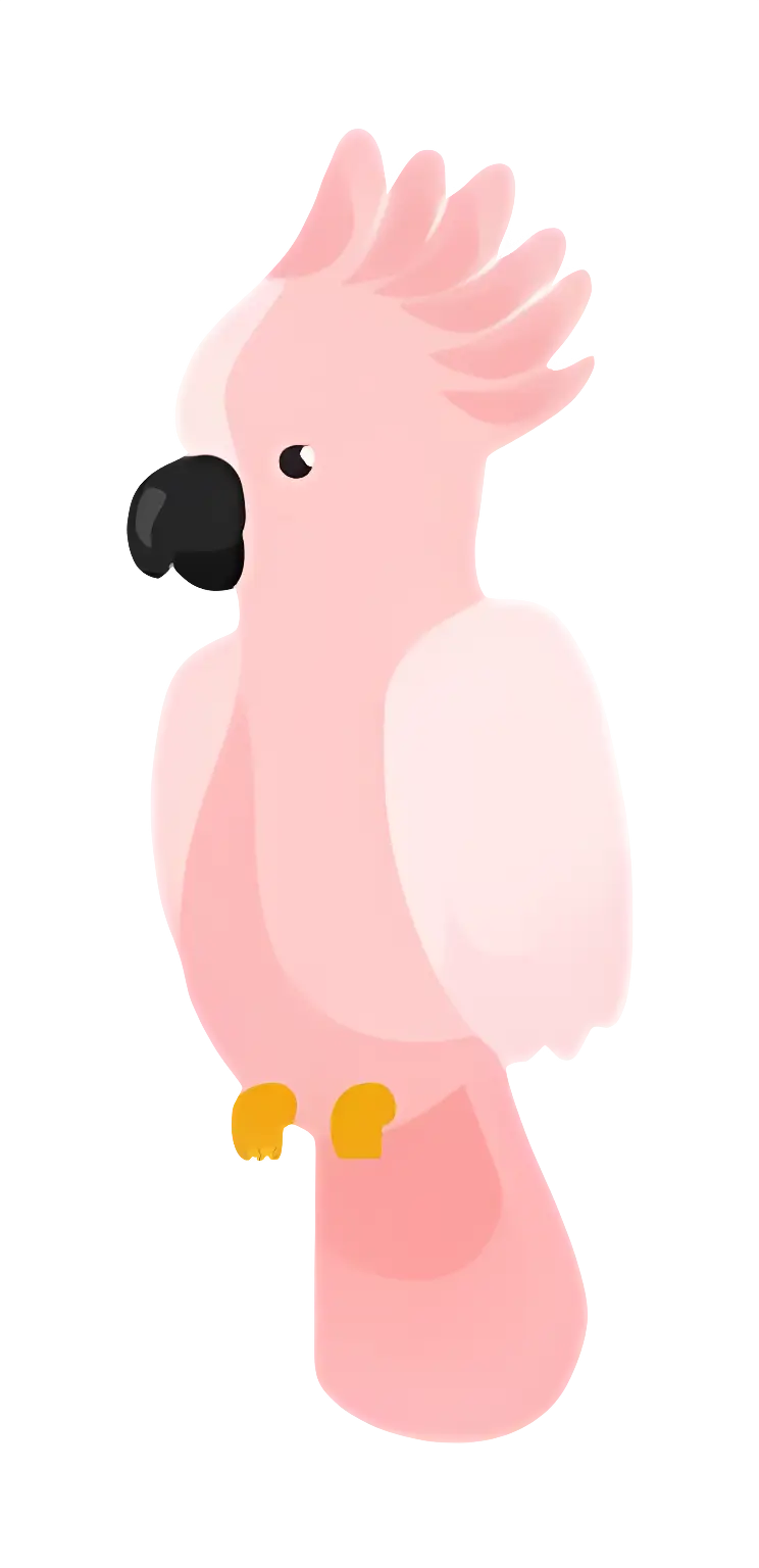 Pink Parrot Illustration