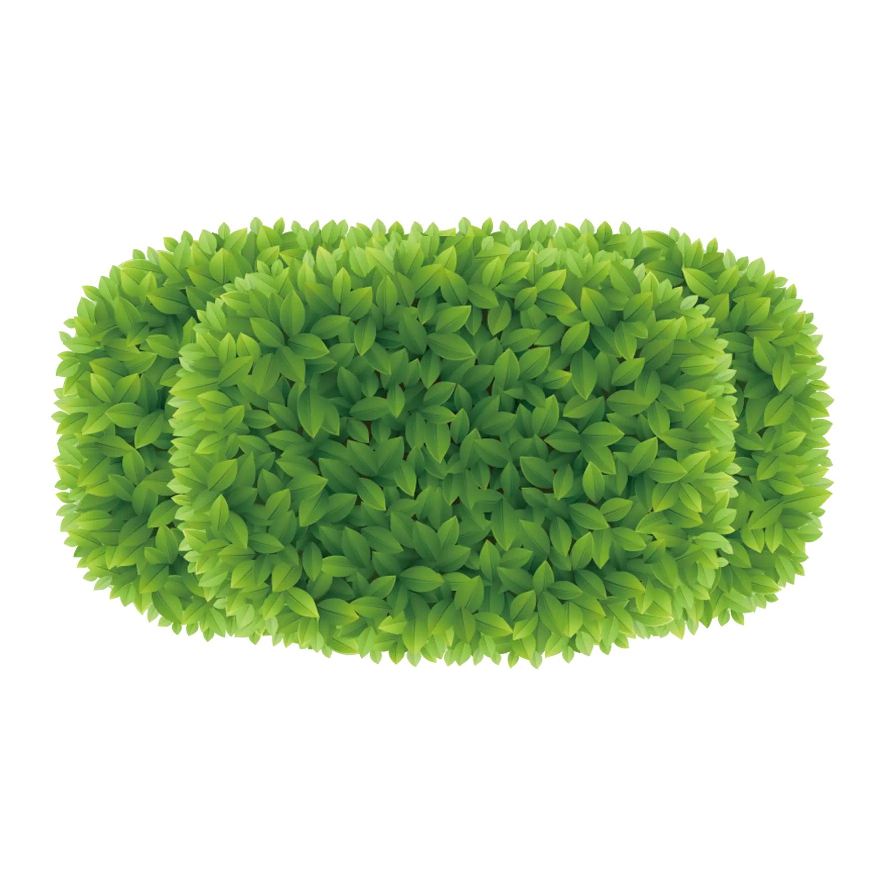 Lush Green Bush