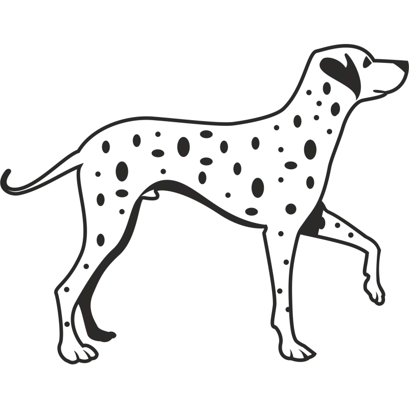 Dalmatian Dog Illustration with Spotted Pattern