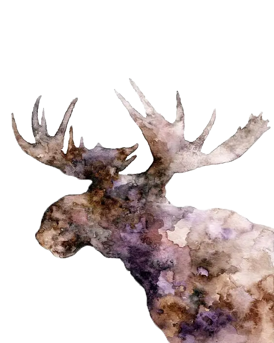 Abstract Watercolor Moose Illustration