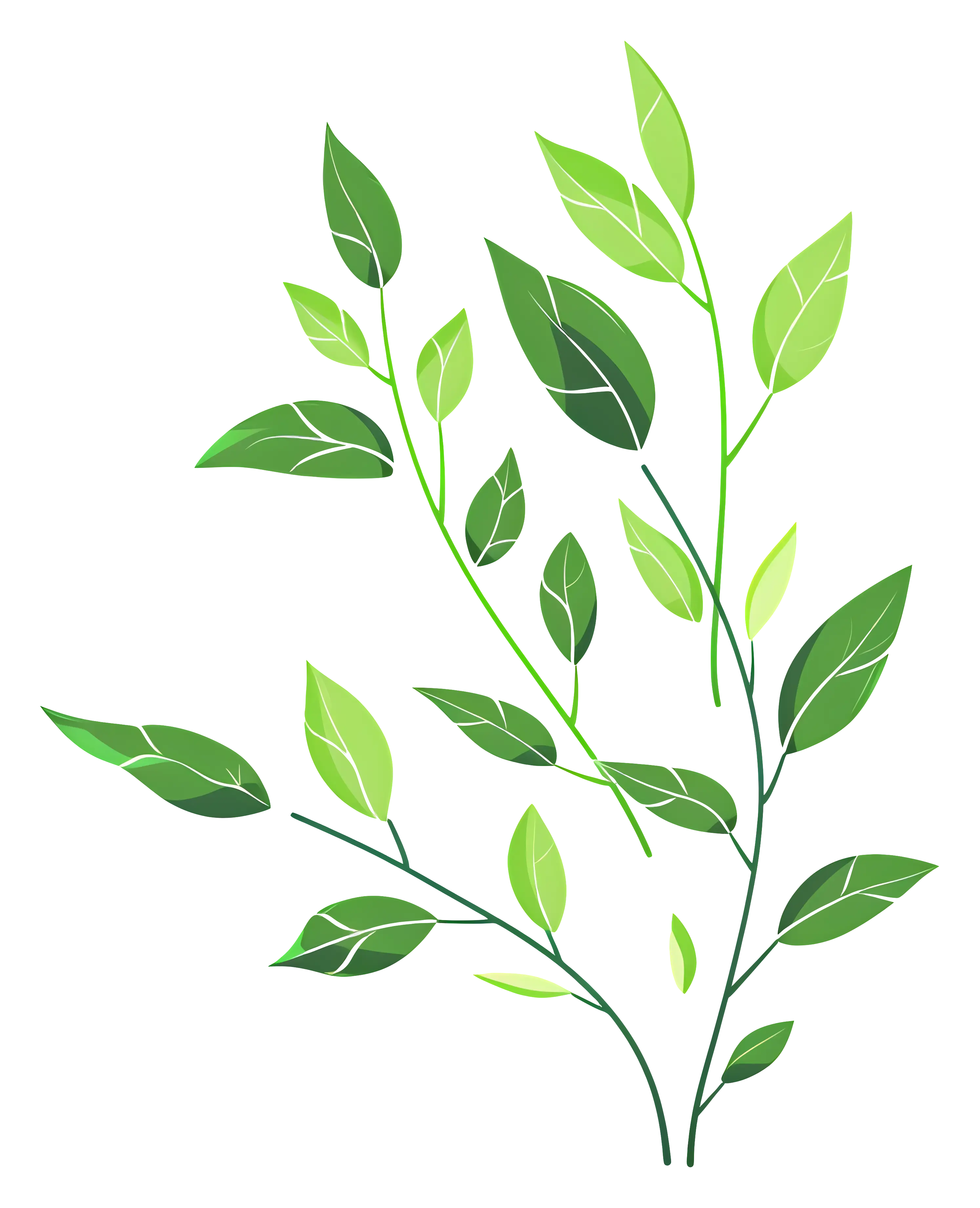 Green Leaves Bunch Illustration