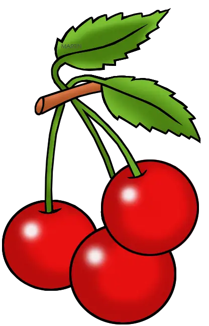Red Cherries with Green Leaves