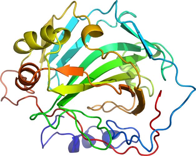 Illustration of Protein Structure in 3D