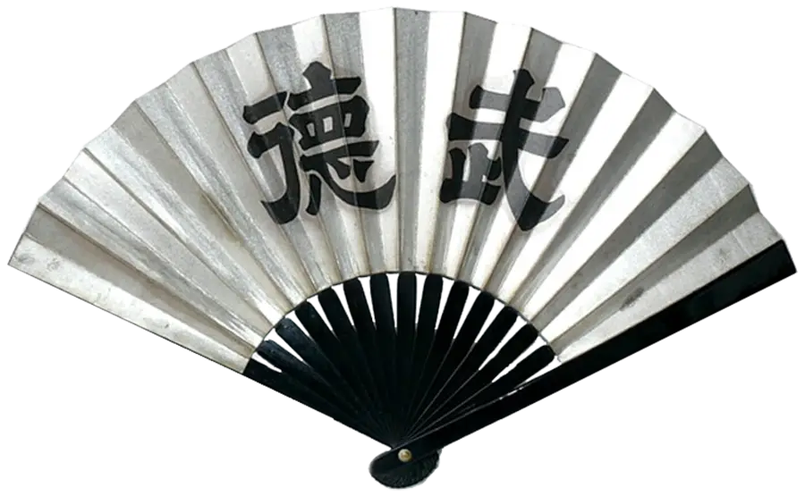 Traditional Chinese Fan with Calligraphy