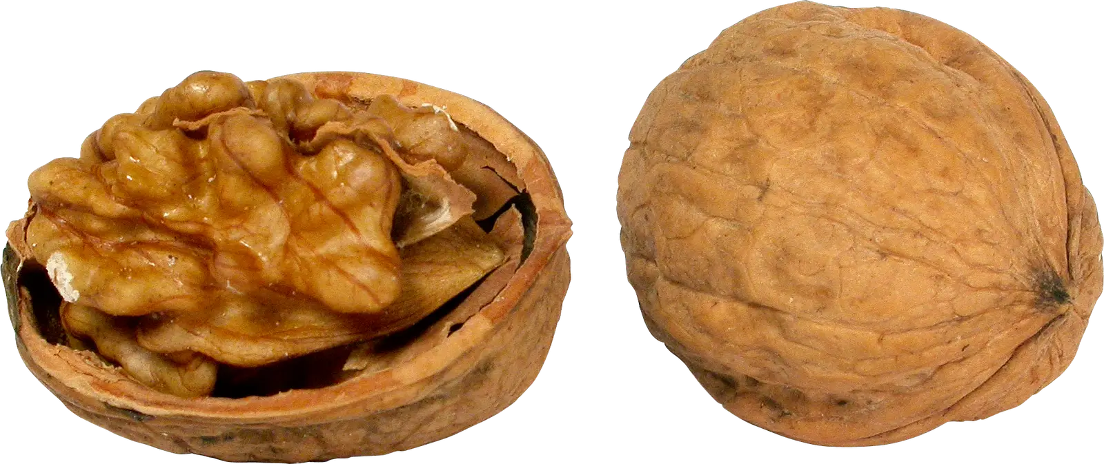 Whole and Shelled Walnut