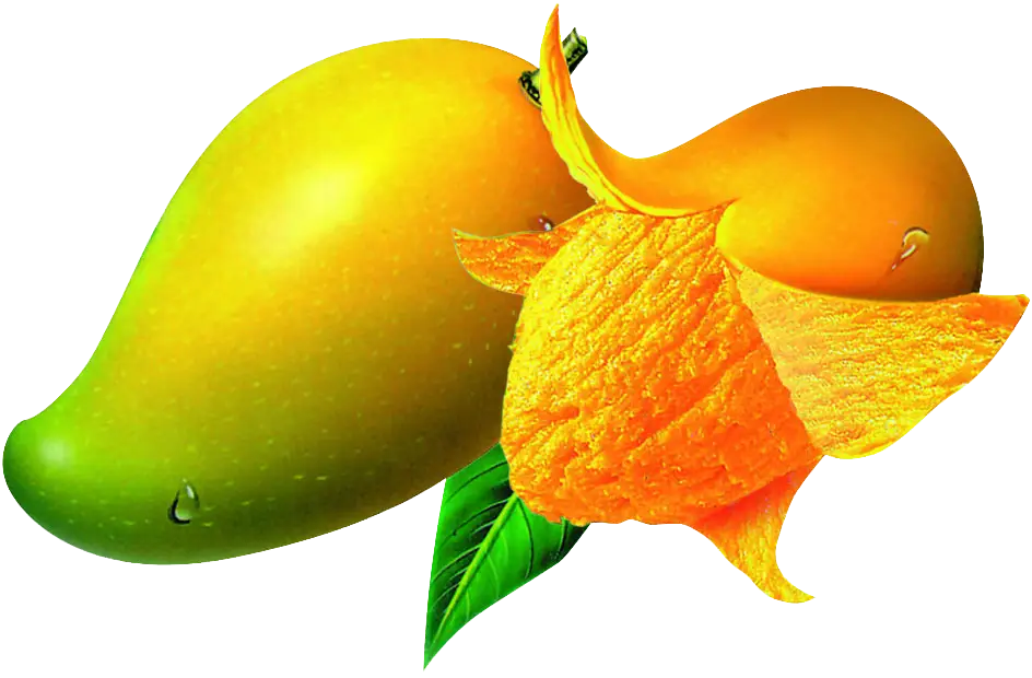 Juicy Yellow Mango Illustration