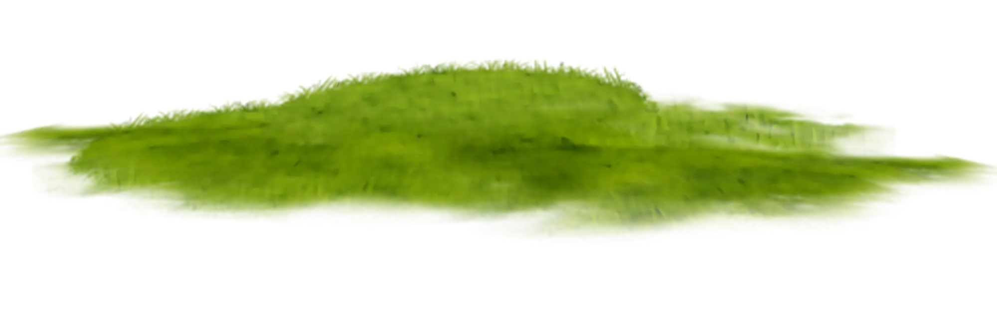Green Grass Patch for Natural Settings