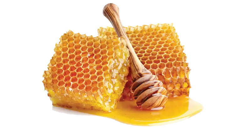 Honeycomb and Wooden Dipper Illustration