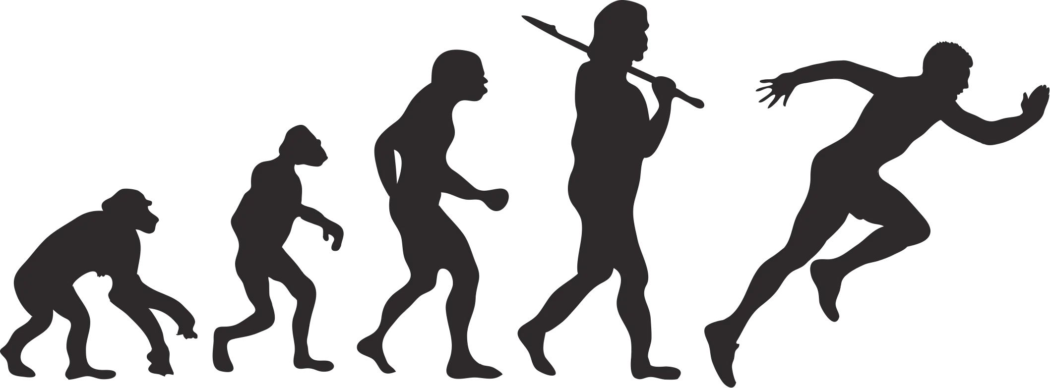 Human Evolution Silhouette